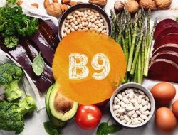 Mengulik Manfaat Vitamin B9 dan Sumber Terbaiknya bagi Tubuh kita