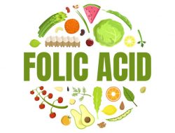 Lagi Hamil? Ini Rekomendasi Makanan yang Tinggi Asam Folat