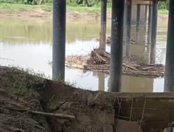 Pasca Banjir, Jembatan Kuning Rantau Alami Erosi Parah