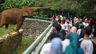 Kebun Binatang Ragunan