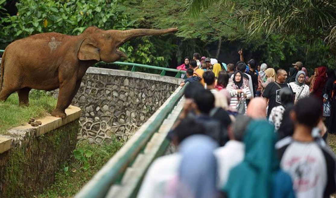 Kebun Binatang Ragunan