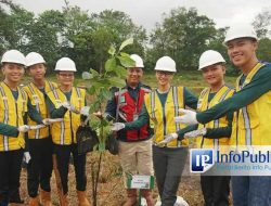 Mengubah Lahan Bekas Tambang Menjadi Kebun Buah di Sumsel oleh PT Bukit Asam: Transformasi Menakjubkan!