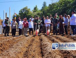 Revitalisasi Pertanian Terintegrasi Hulu Hilir: Solusi Menaklukkan Krisis Pangan