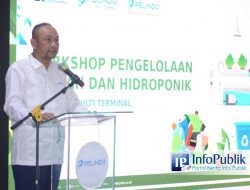 Pendidikan Pelindo: Menginspirasi Masyarakat dengan Lingkungan dan Urban Farming