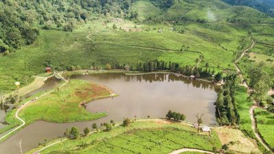 Tempat Wisata Telaga Saat Pesona Alam Tersembunyi di Puncak Bogor